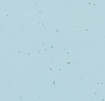 Линолеум Forbo Sphera Energetic 50239 ice фото 1 | FLOORDEALER